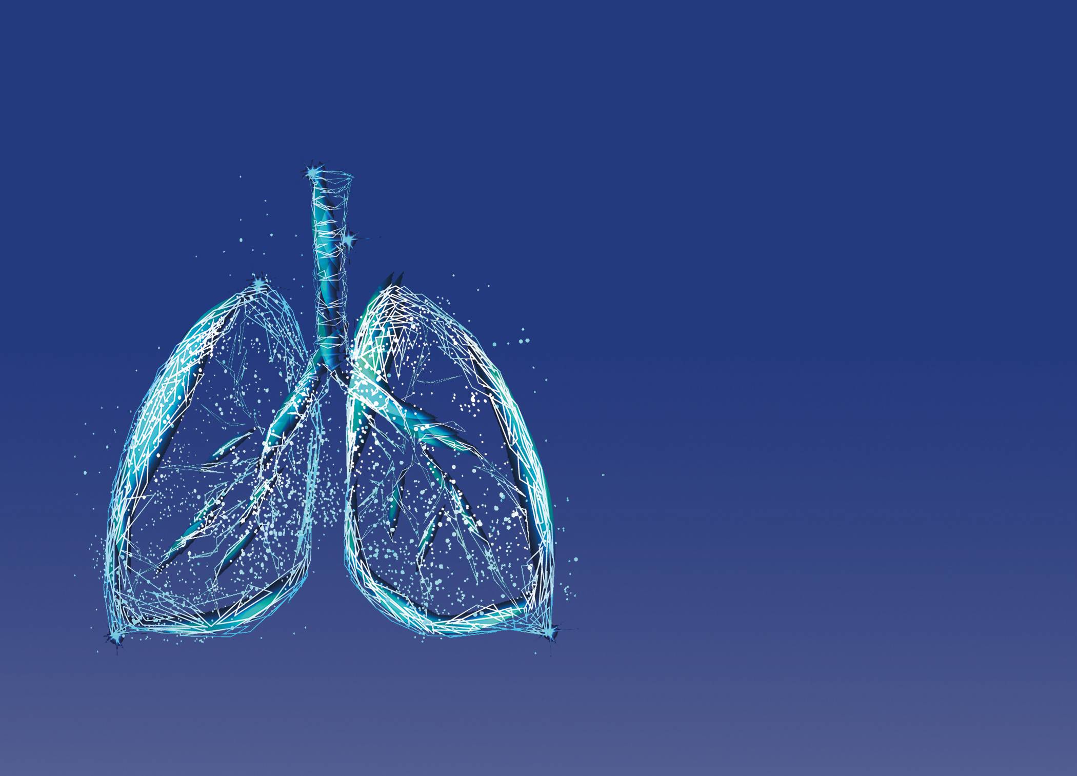 Longen, onzichtbaar maar onmisbaar voor leven.