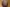 Thumbnail Spelt VS AGZ