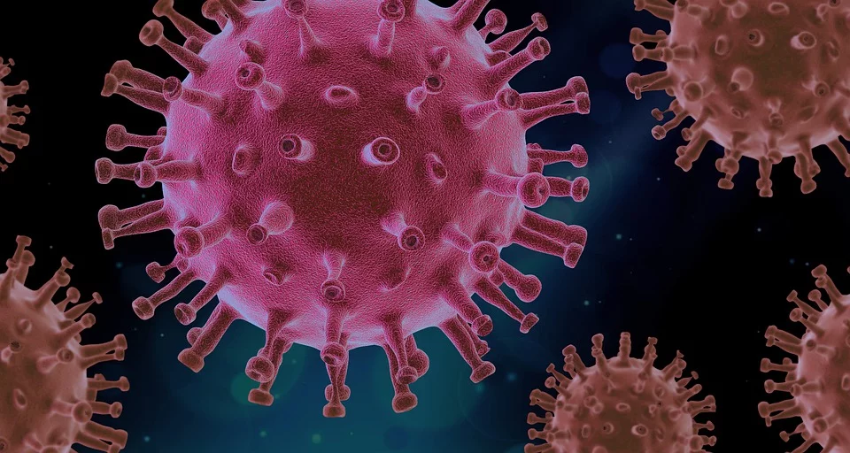 Virus 4937553 960 720