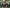 Thumbnail 2019 09 18 IMG 6353 (4)