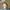 Thumbnail Foto Marjon Van Klaveren
