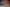Pexels Pixabay 256520
