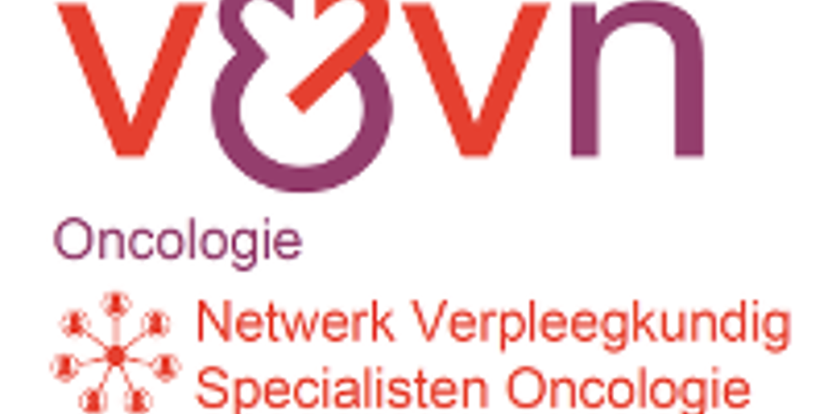 Logo Netwerk VSO Klein