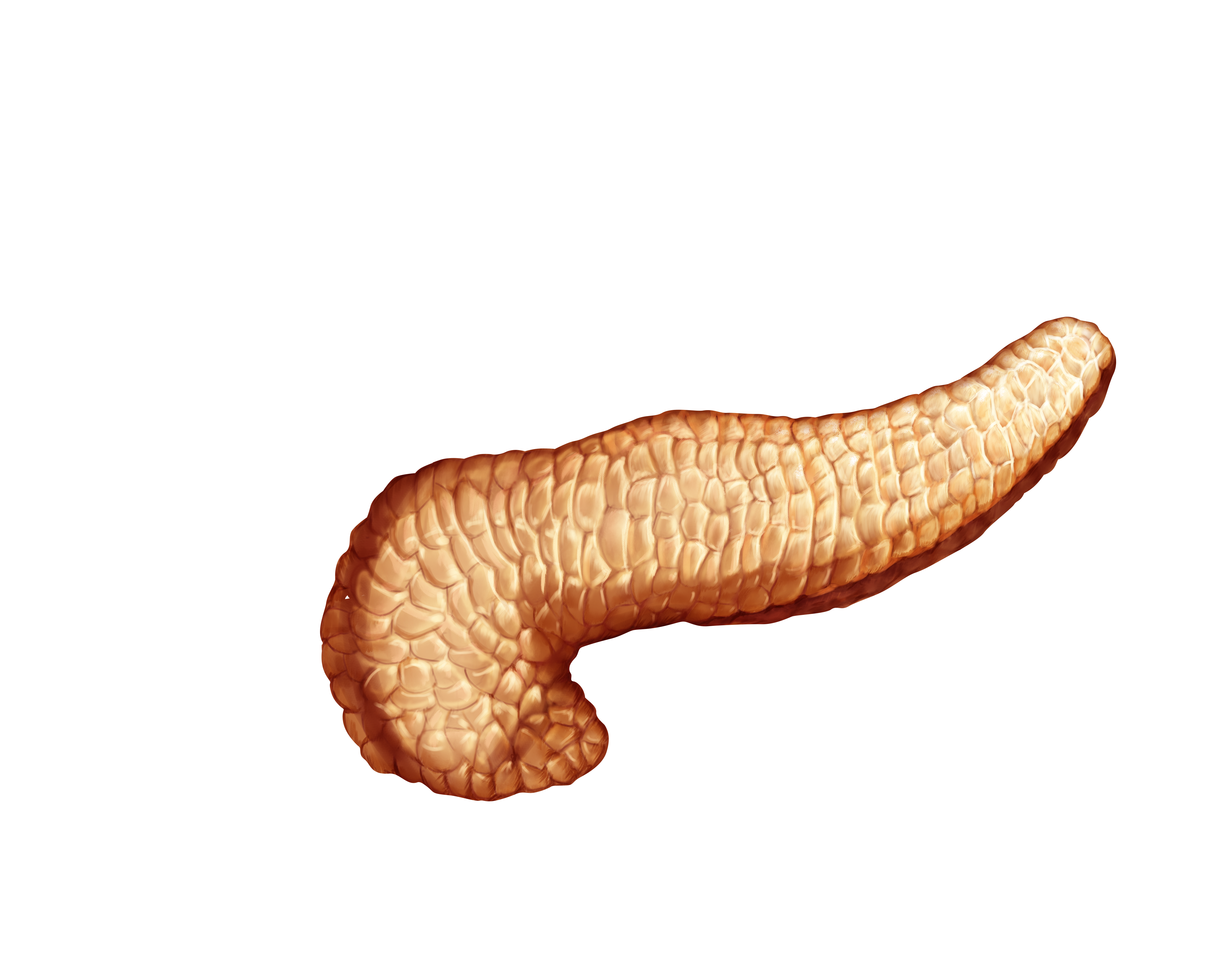 20220209 Brainstem Prijsvraag