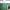Thumbnail IMG 1351