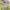 Thumbnail Minke En Brenda 3