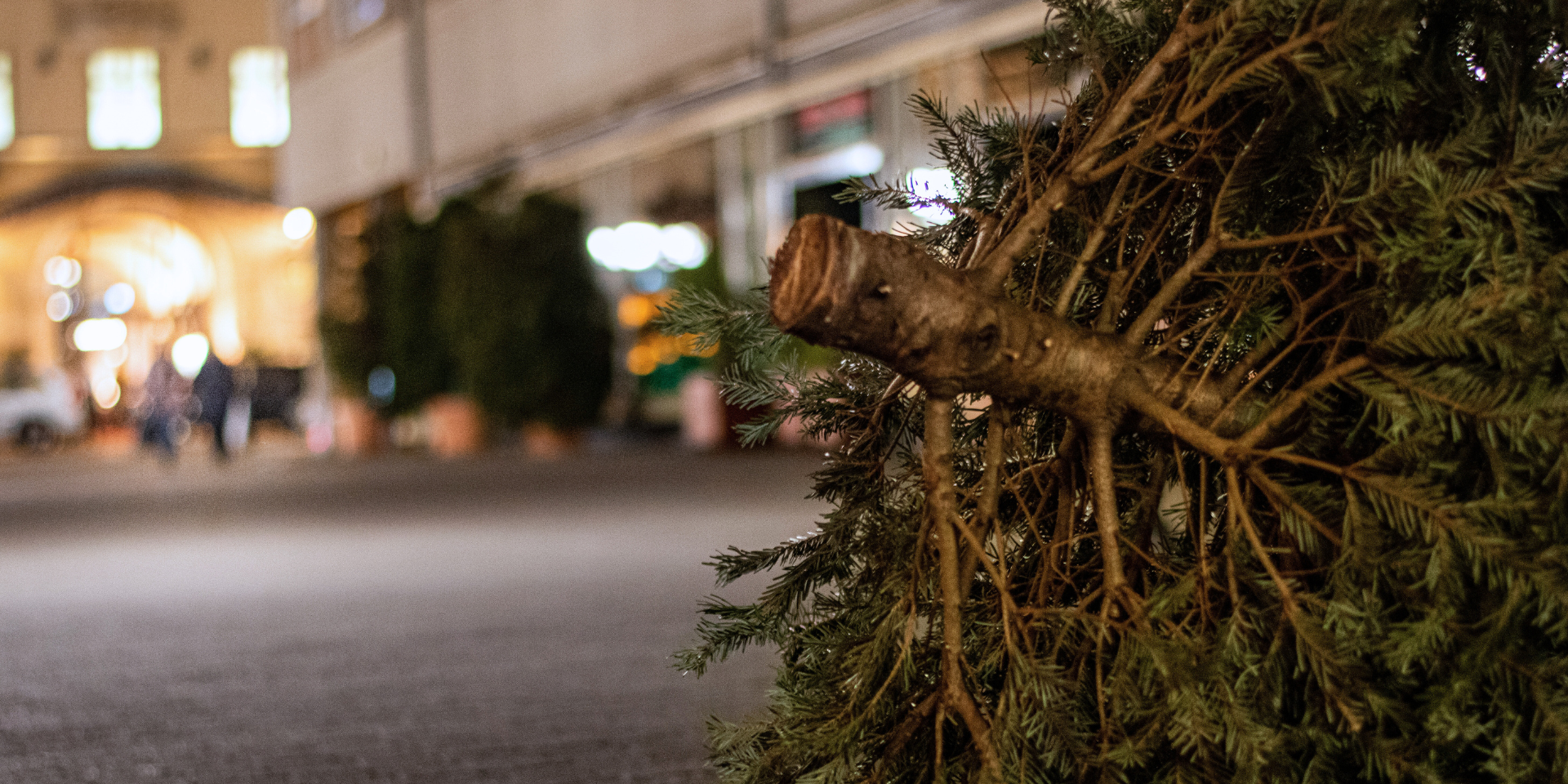 Weggegooide Kerstboom