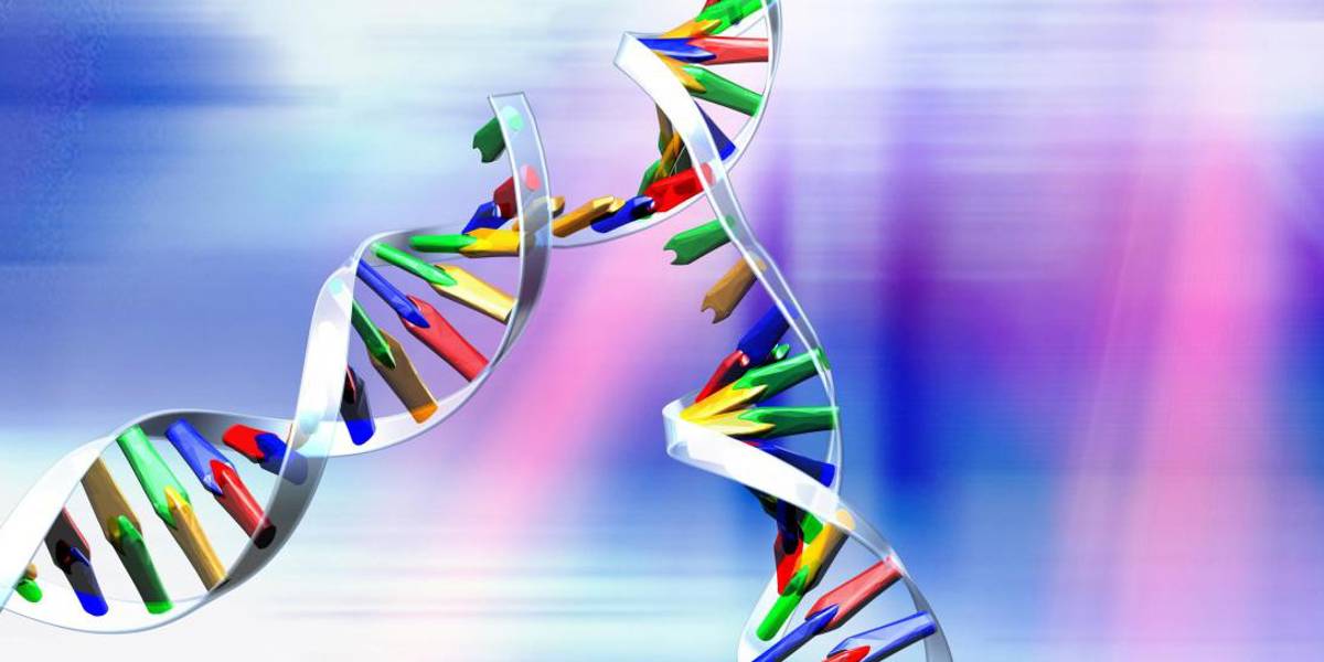 DNA Replication