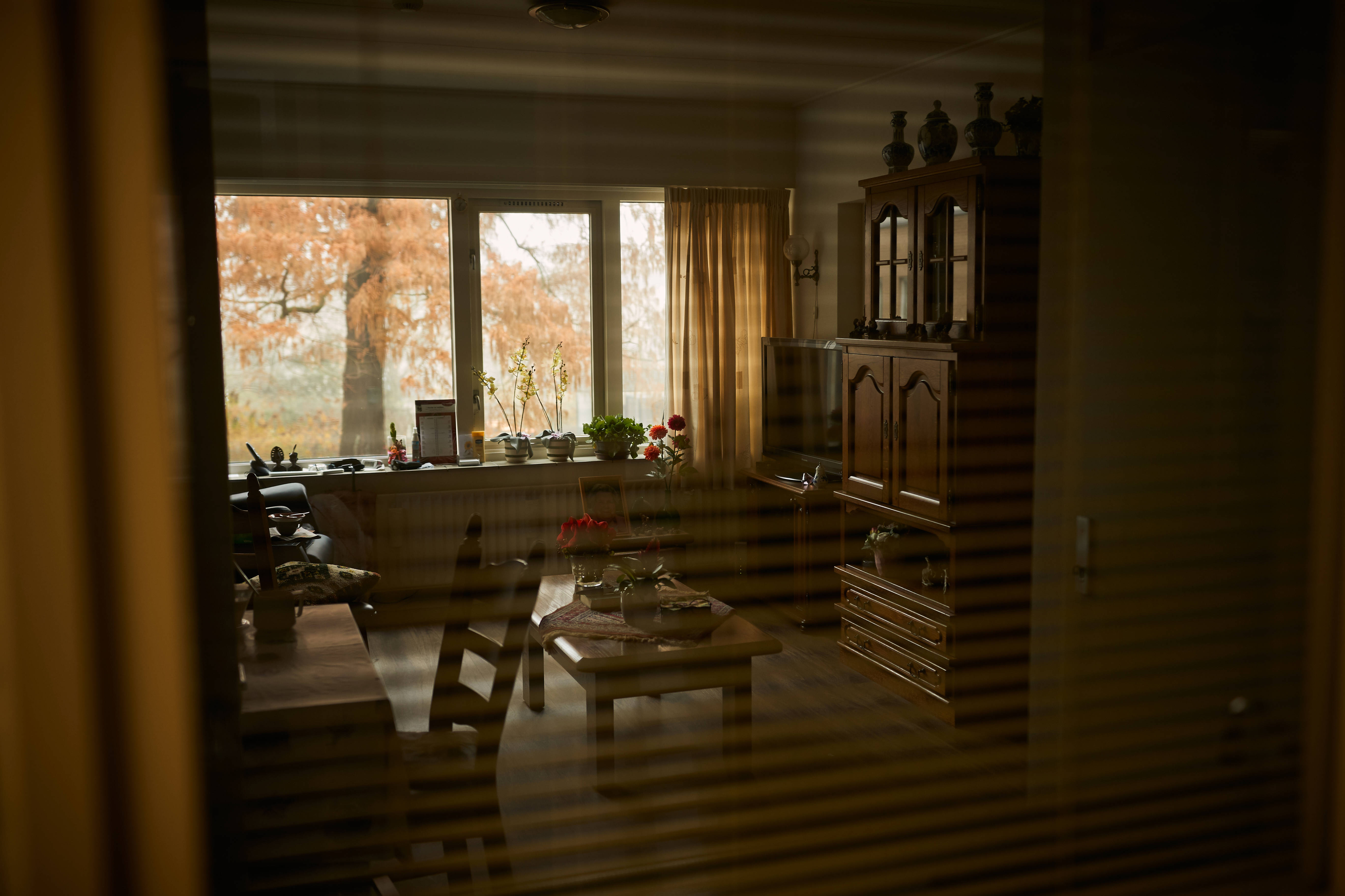 MV191120 Venvn Bethem T0I4452