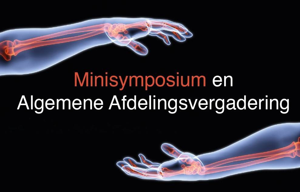 Afbeelding Symposium