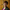 Ambassadeurs