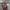Thumbnail Emily