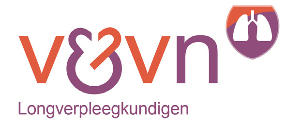 Logo V&VN Long 2