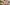 Fot gerimpelde handen met bloemen, Foto ter illustratie © Canva