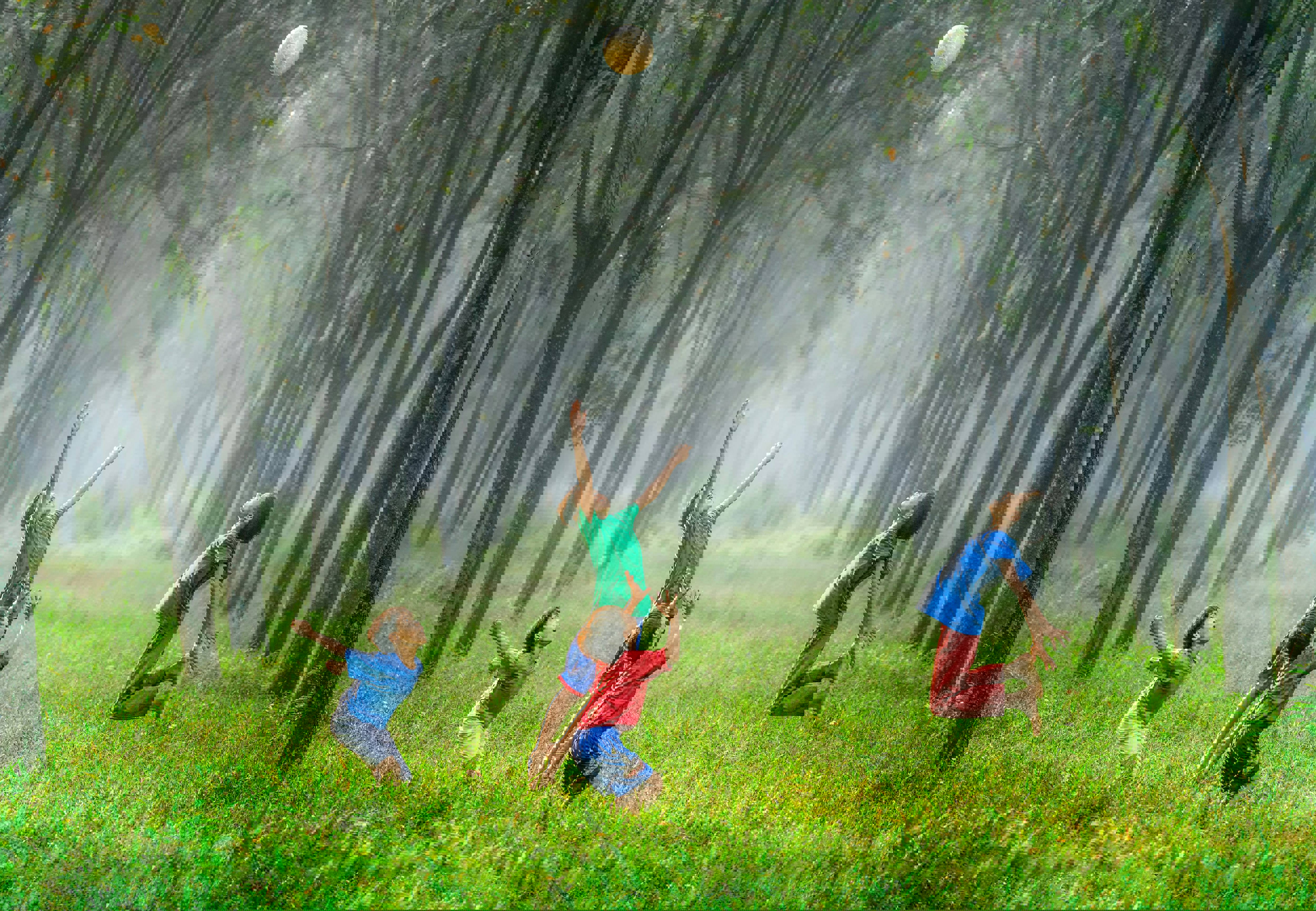 Robert Collins Tvc5imo5pxk Unsplash