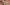 Banner Bestuur Aangepast 1000Px (1)