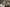 Microphone 704255 1280 (1)