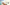 Banner Thema Administratieve Lasten