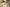 Pexels Canva Studio 3277808