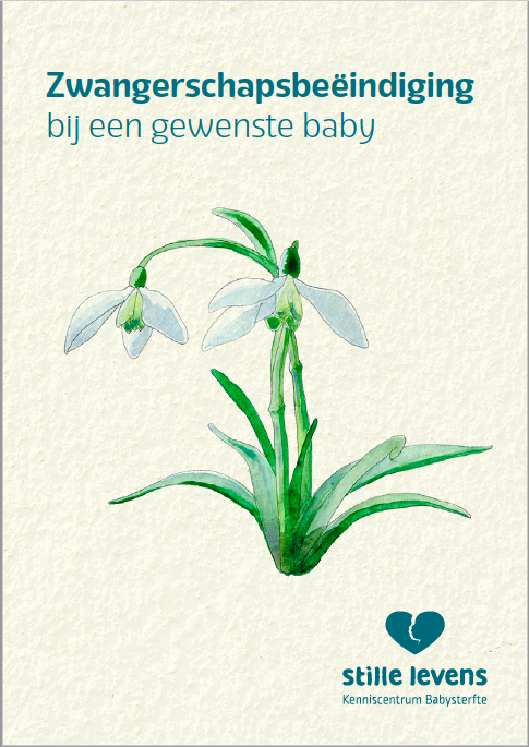 Plaatje Bij Zwangerschapsbeeindiging