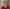Thumbnail 19 Jacq De Vries 2