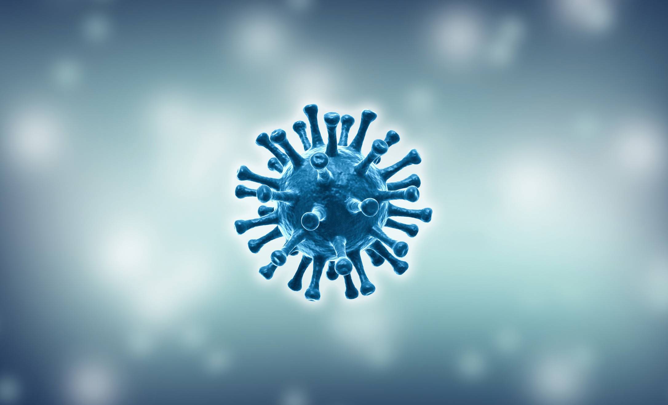 Covid Virus